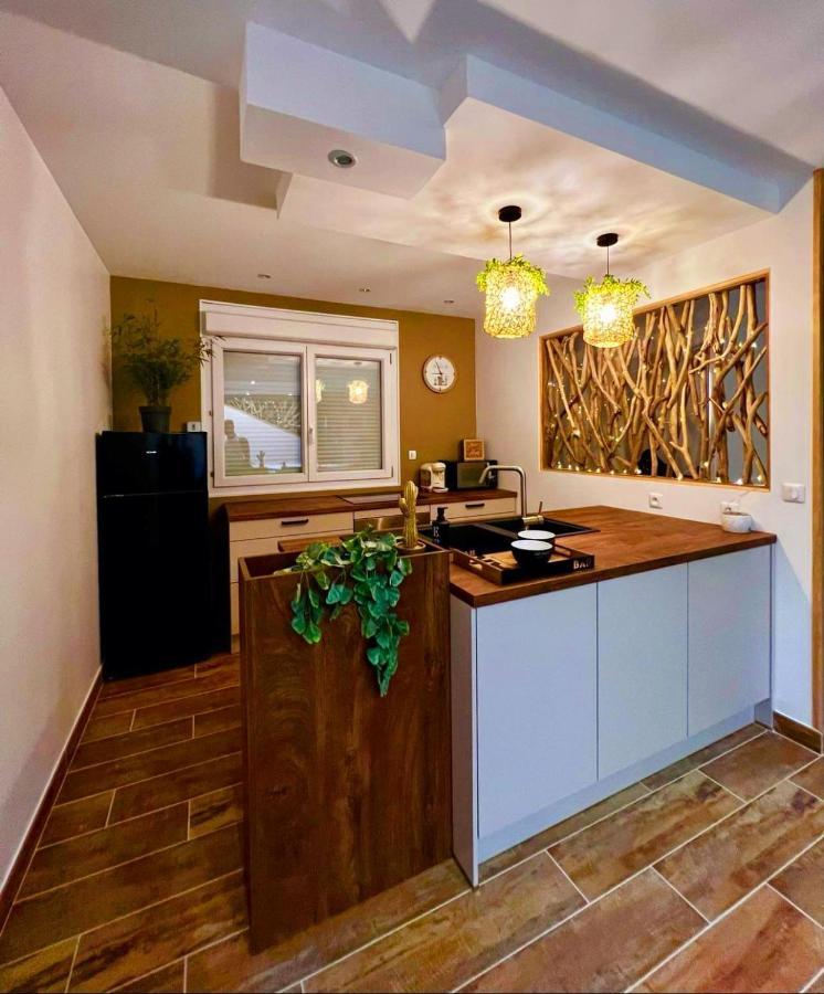 A Fleur De Spa : Maison Chaleureuse Avec Spa Privatif Et Billard. Coulogne エクステリア 写真